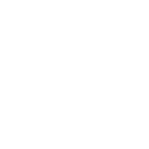 Error Icon